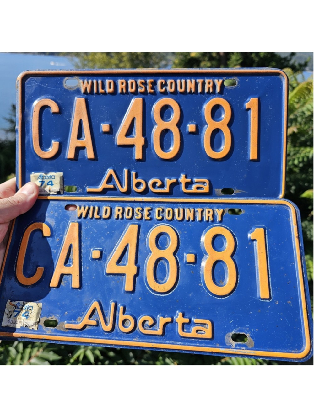 1973 Alberta License Plate Pair CA-48-81 1974 Tags Wild Rose Country. Oilers Oil